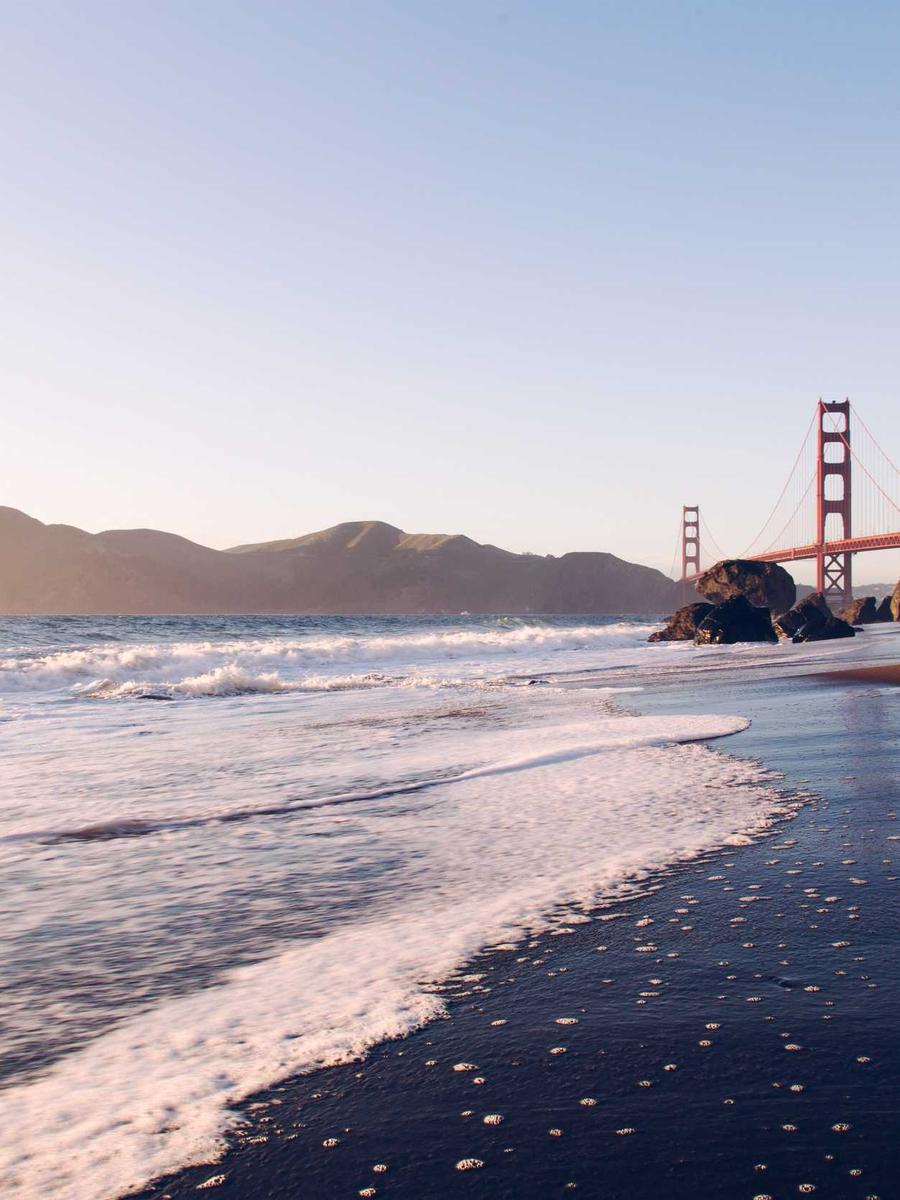 Shafts of morning light filtering through a dense coastal rainforest